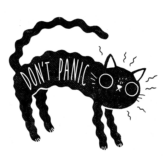 DinoMike Men's 'Don't Panic' Ringer T-Shirt in S - 4XL Sizes