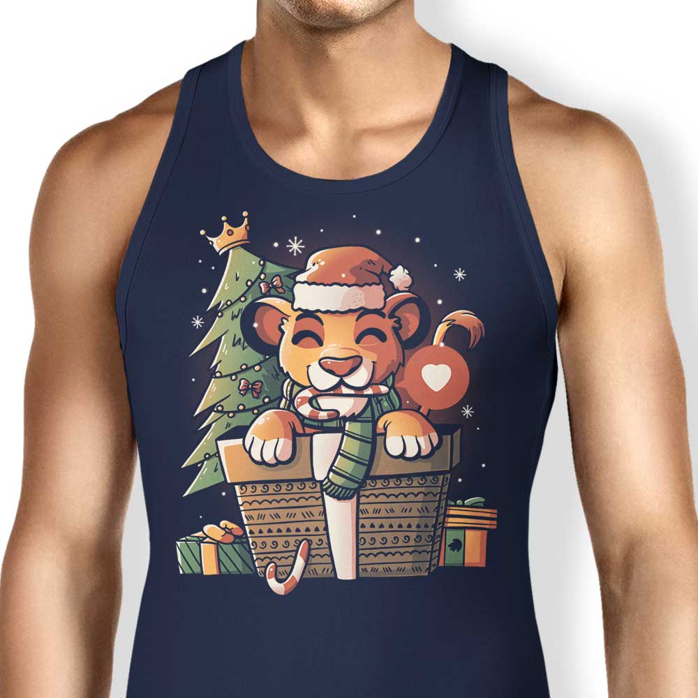 Edu.ely's Comfortable Unisex and Women's Pride Gift Tank Tops