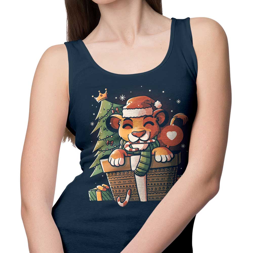Edu.ely's Comfortable Unisex and Women's Pride Gift Tank Tops