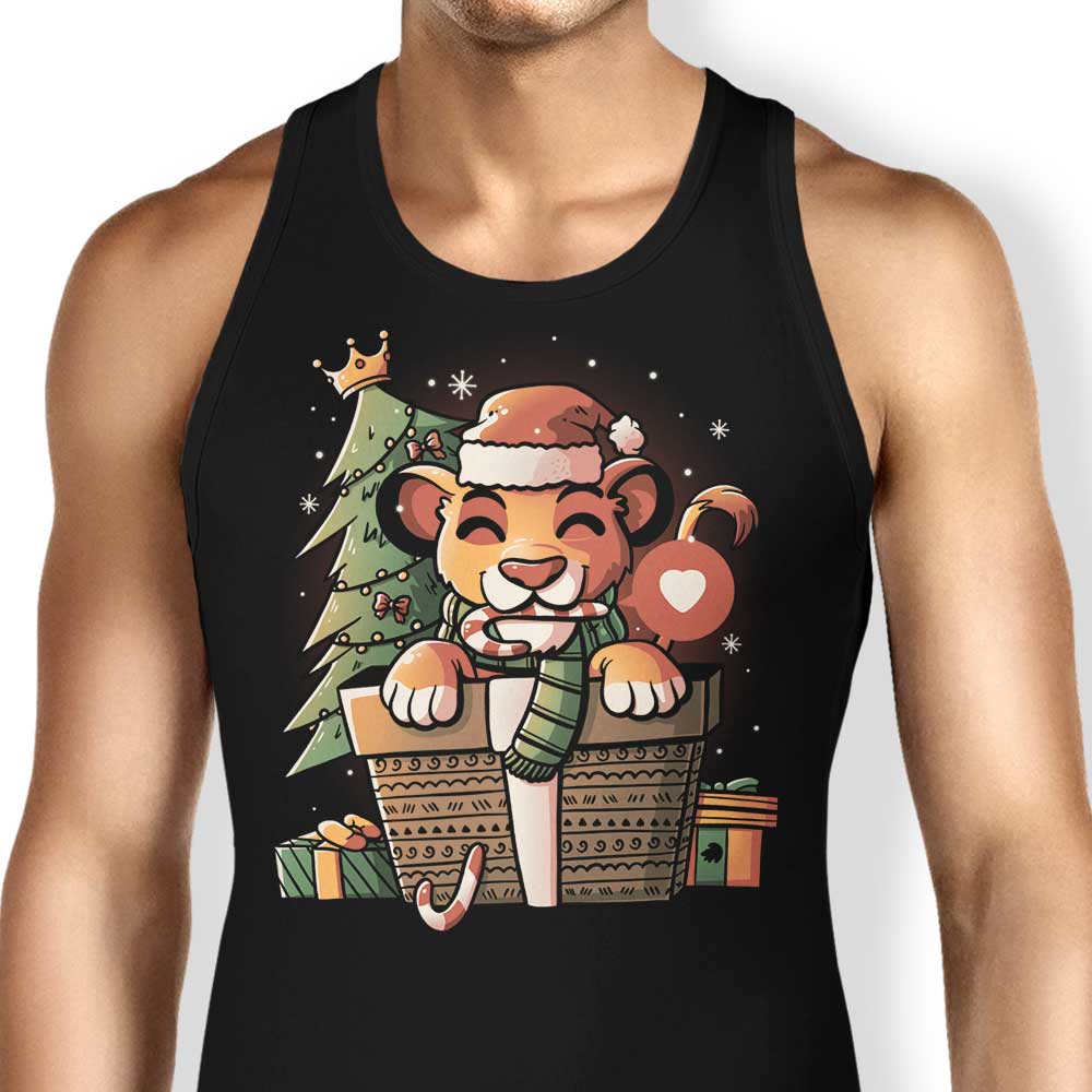 Edu.ely's Comfortable Unisex and Women's Pride Gift Tank Tops