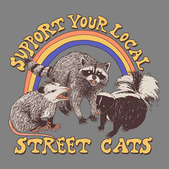 Hillary White's Street Cats 3/4 Sleeve Raglan Stylish T-Shirt
