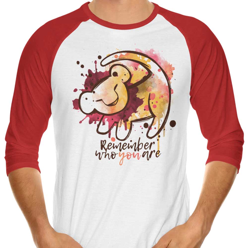 Inspirational 'Remember Who You Are' 3/4 Sleeve Raglan Style T-Shirt for Unforgettable Wear