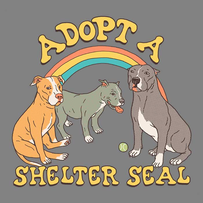 3/4 Sleeve Raglan T-Shirt - Adopt a Shelter Seal Design