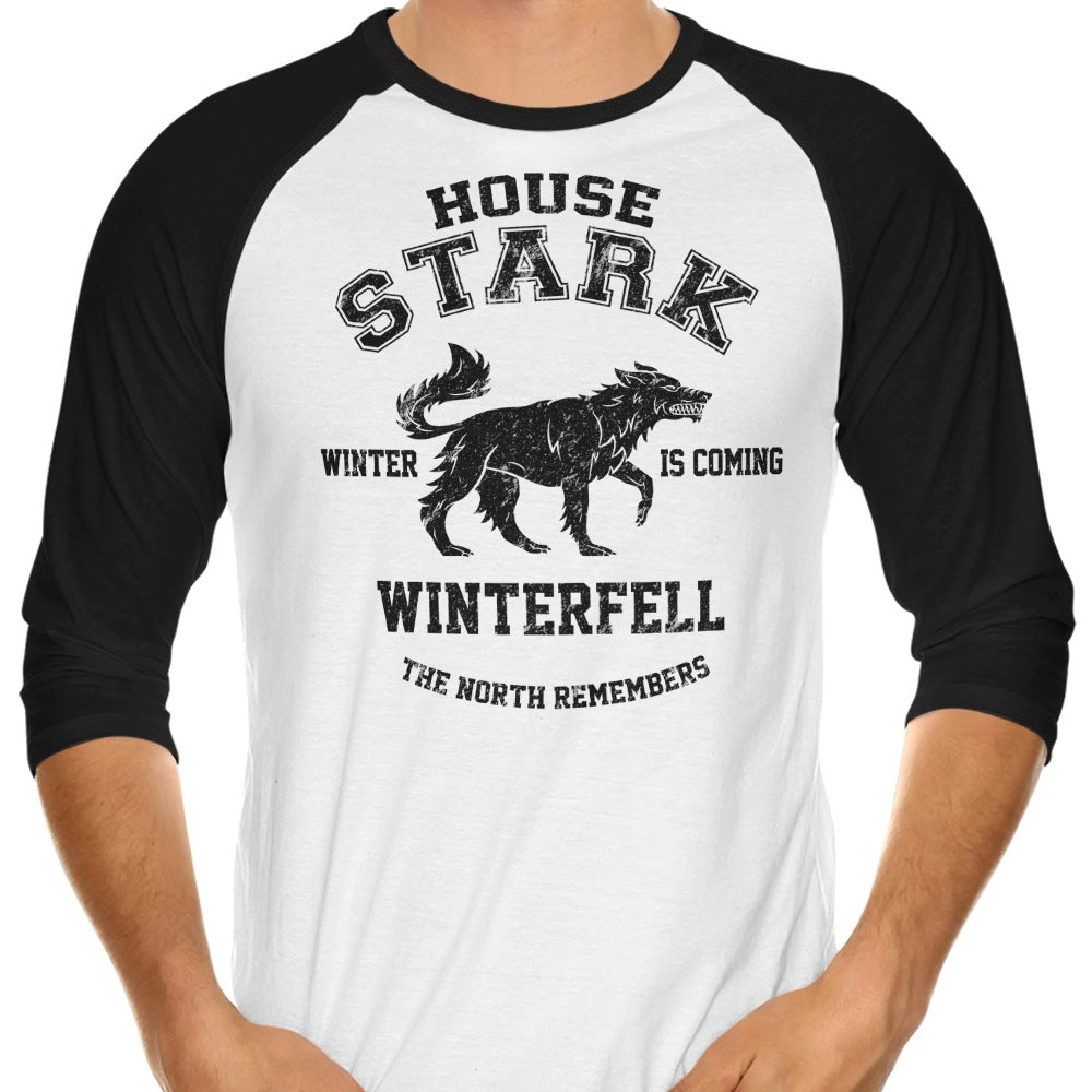 Digital Phoenix's 'Winter is Coming (Alt)' 3/4 Sleeve Raglan Style T-Shirt