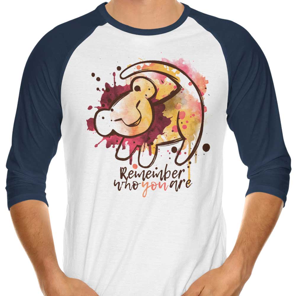 Inspirational 'Remember Who You Are' 3/4 Sleeve Raglan Style T-Shirt for Unforgettable Wear