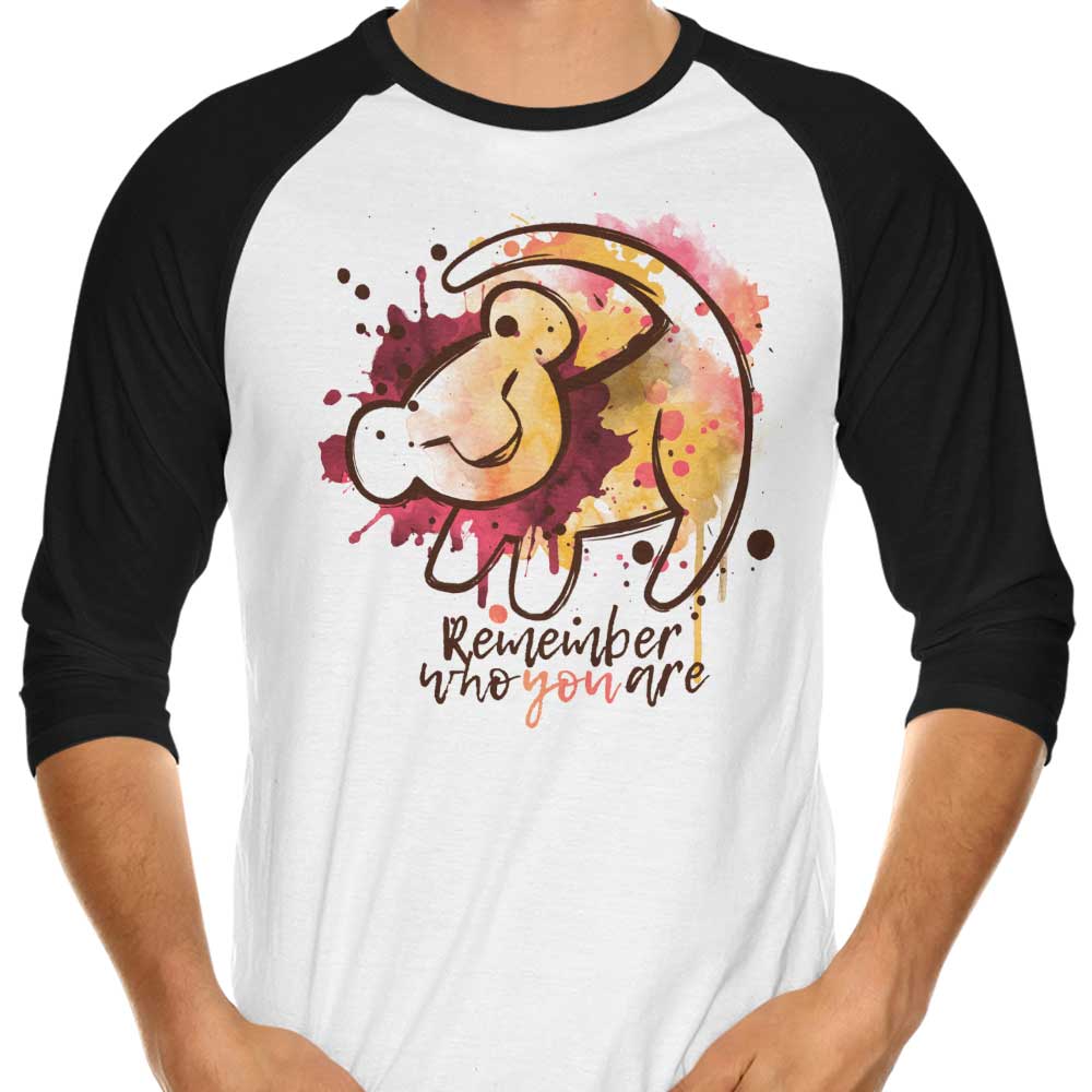 Inspirational 'Remember Who You Are' 3/4 Sleeve Raglan Style T-Shirt for Unforgettable Wear