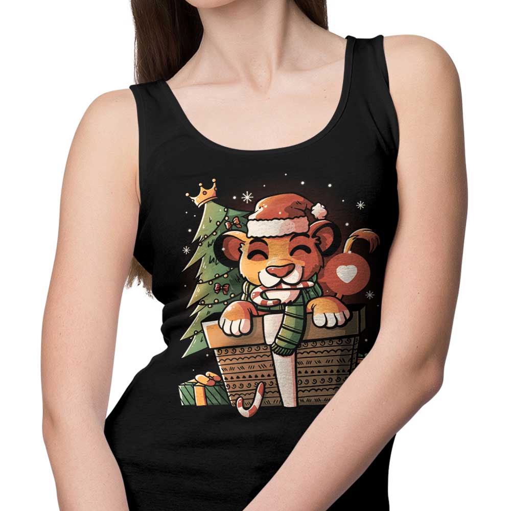 Edu.ely's Comfortable Unisex and Women's Pride Gift Tank Tops