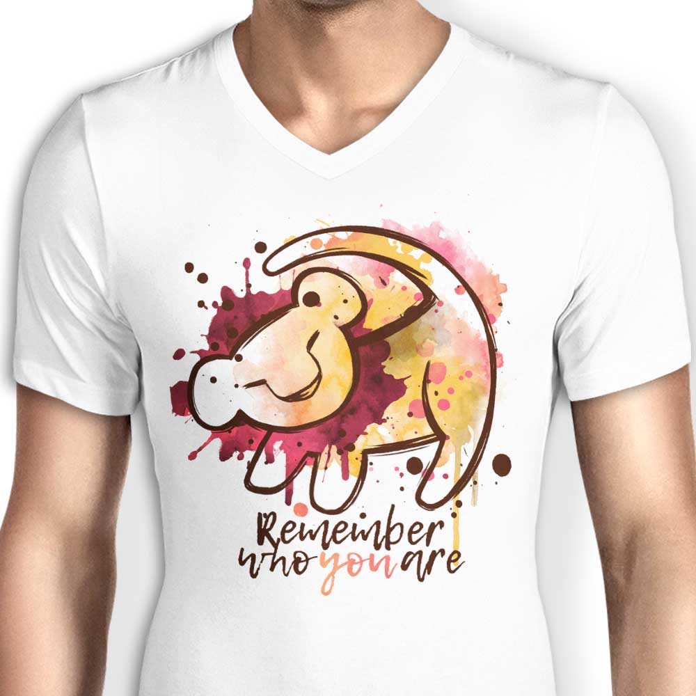 Inspiring 'Remember Who You Are' Men's V-Neck T-Shirt