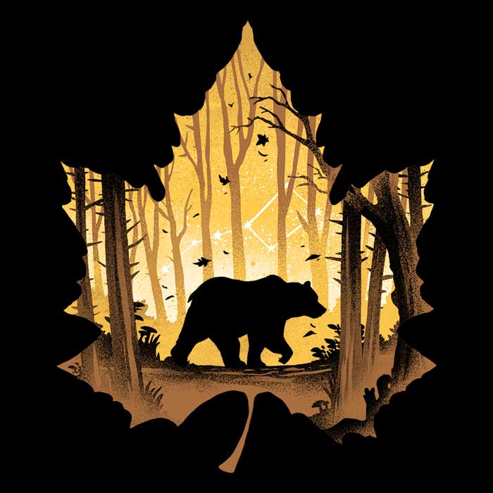 Alemaglia Men's Bear Protector T-Shirts in Various Sizes