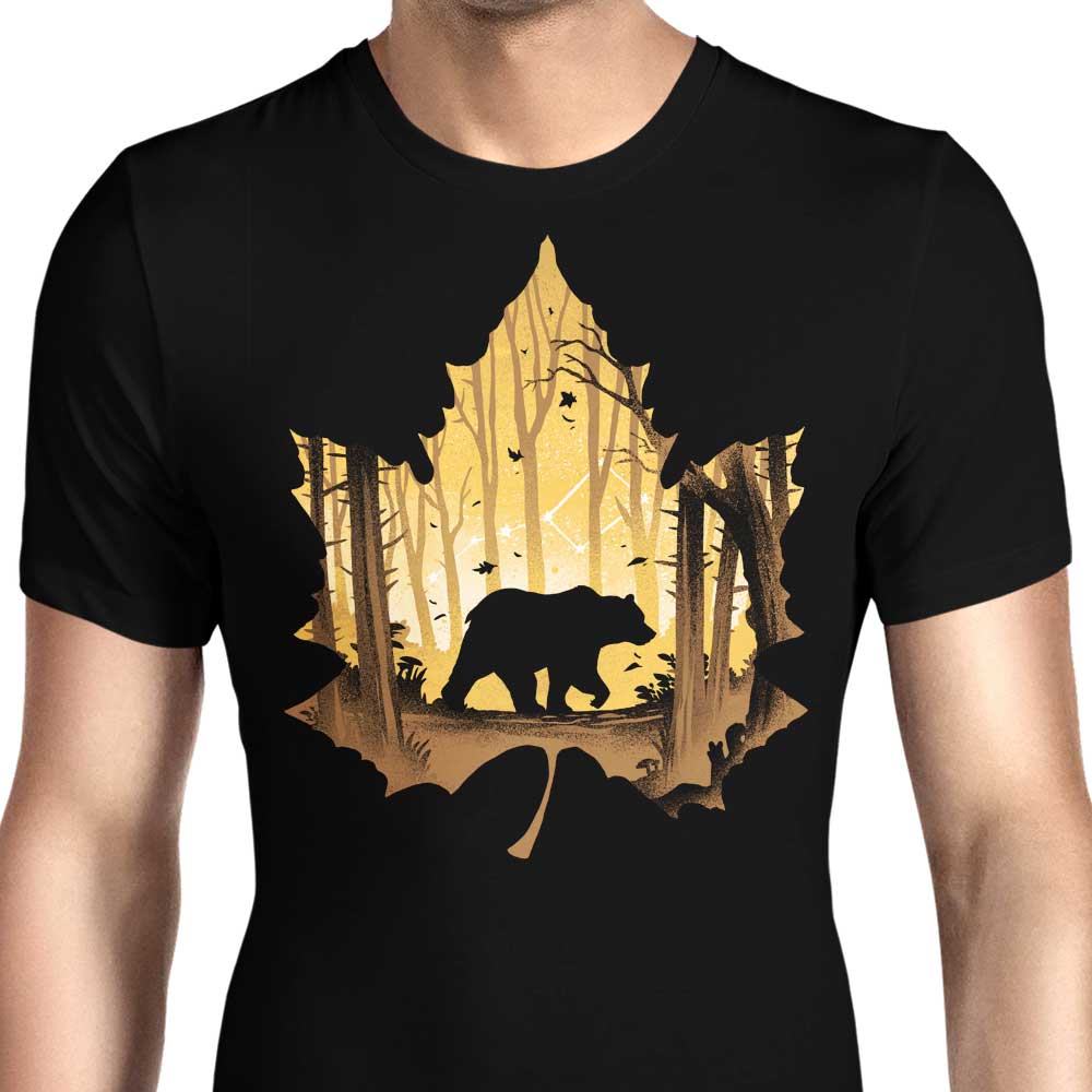 Alemaglia Men's Bear Protector T-Shirts in Various Sizes