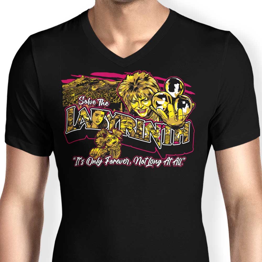 Men's Stylish V-Neck - Not a Long Fit