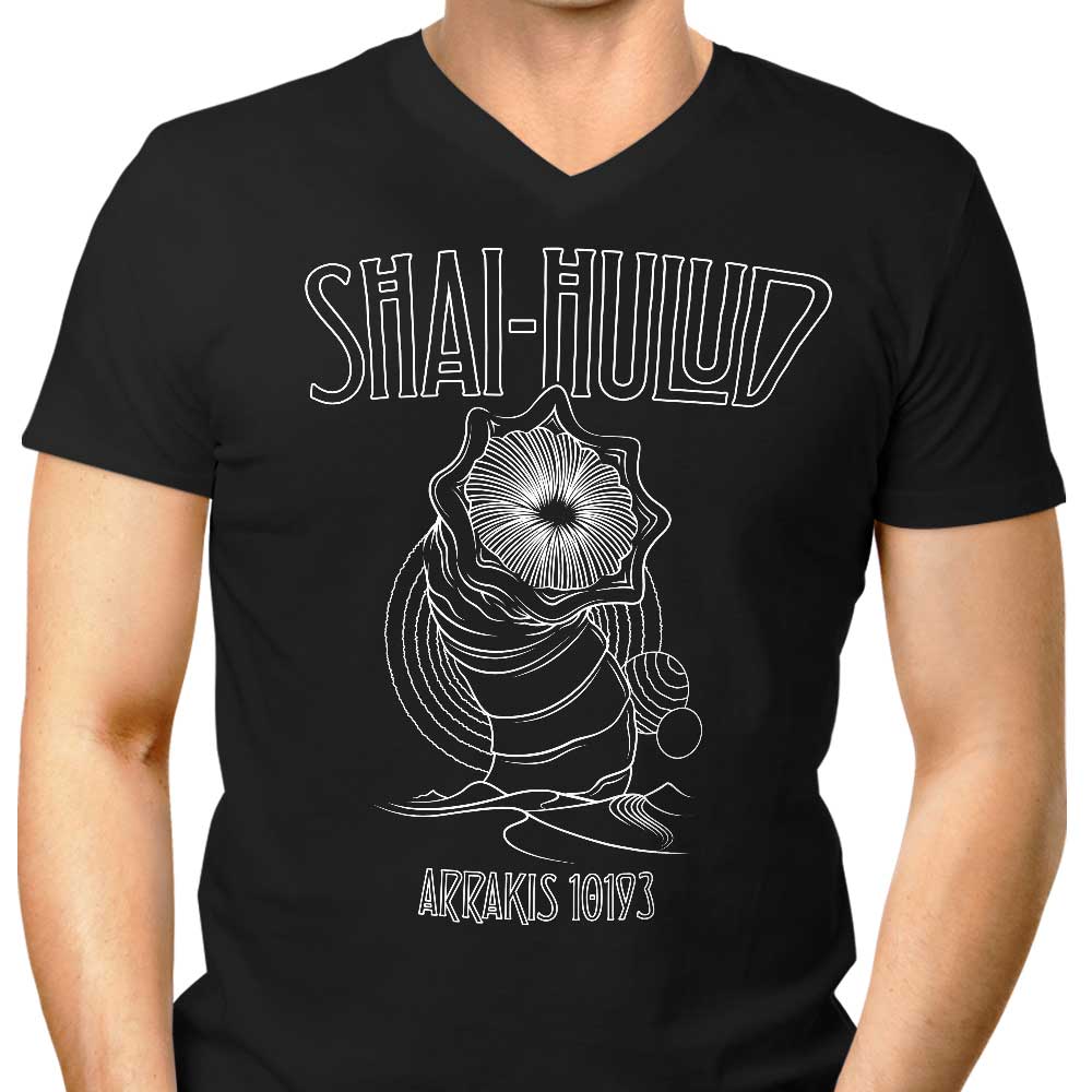 Stylish Men's V-Neck Kashmir T-Shirt