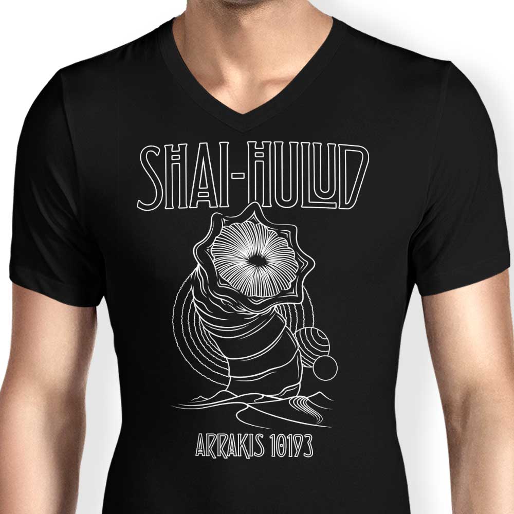 Stylish Men's V-Neck Kashmir T-Shirt