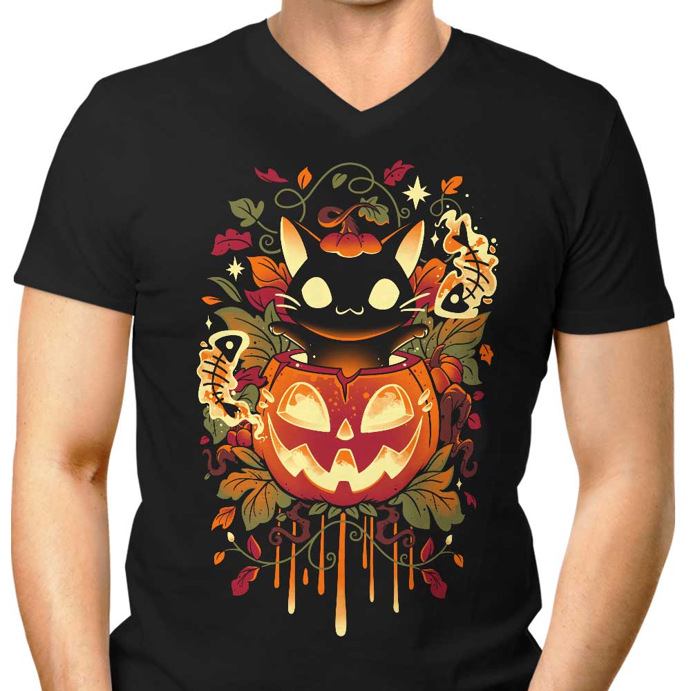 Snouleaf's Stylish Men's Autumn V-Neck Tricks