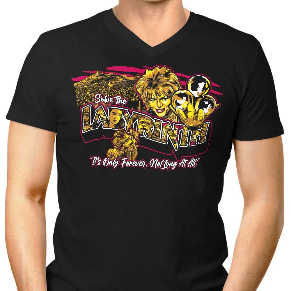 Men's Stylish V-Neck - Not a Long Fit
