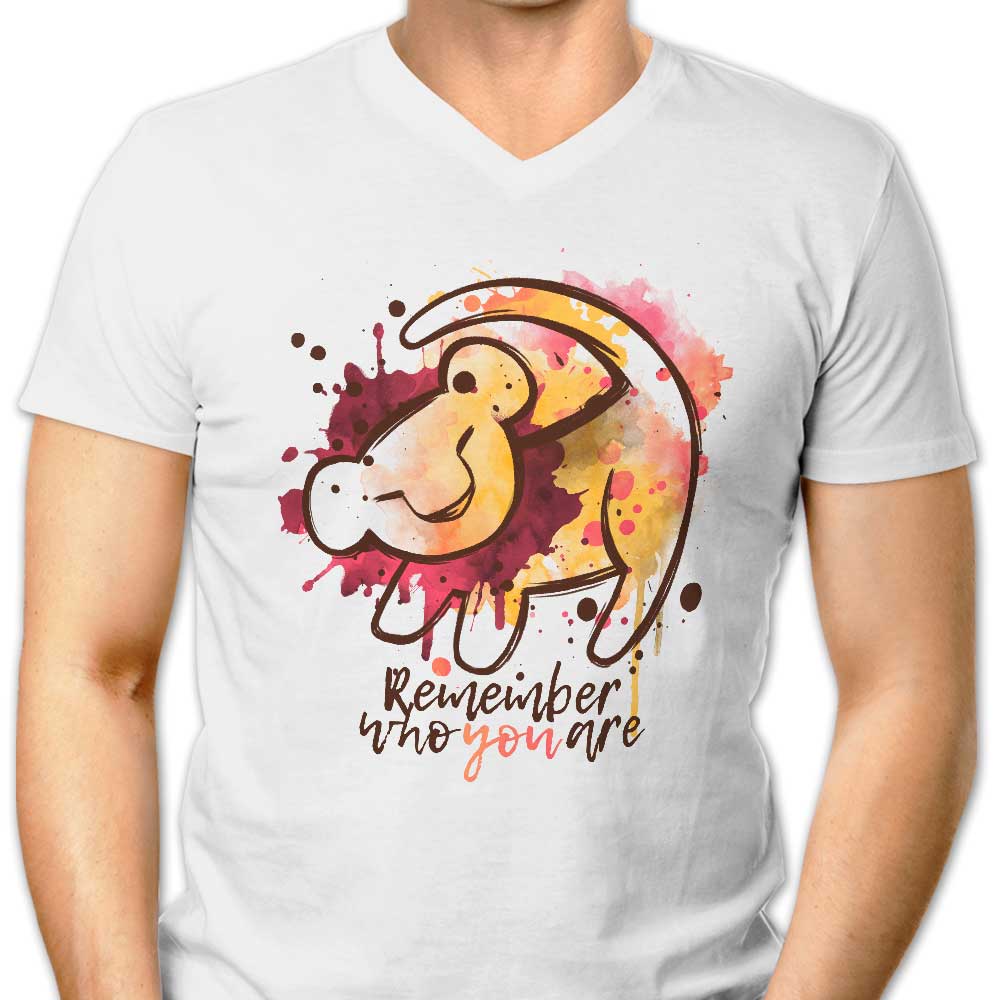 Inspiring 'Remember Who You Are' Men's V-Neck T-Shirt