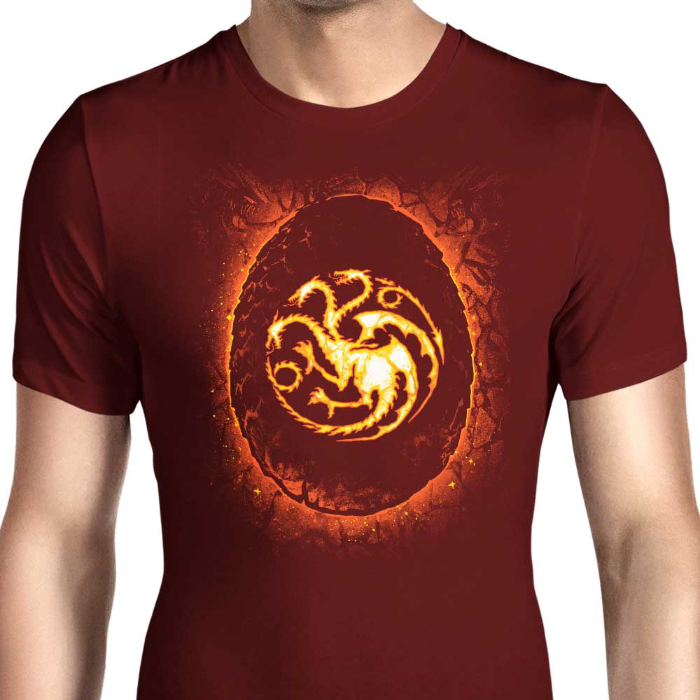 Dragon Egg Men's Fashionable T-Shirts in Various Sizes